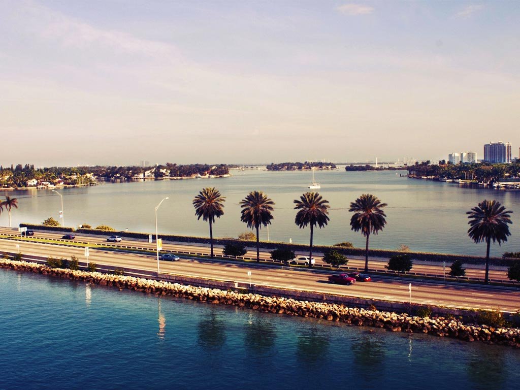 dubai article