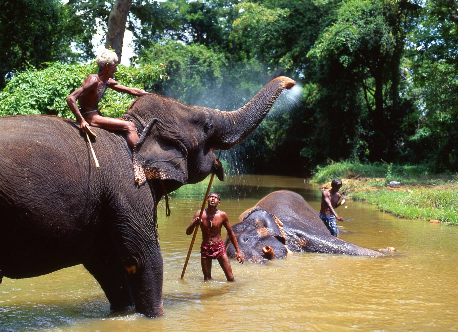 Excursions brand new Elefanten