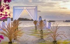 Wedding Ceremony (2)