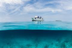 Kandooma_Henley_Spiers_Low_Res-75