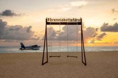 Sunset Beach Swing