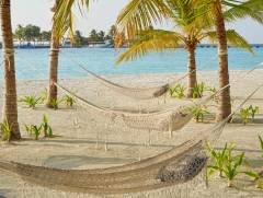 Hammock